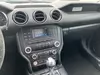 Florida Fine Cars - Used FORD MUSTANG 2017 MARGATE V6