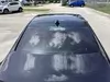 Florida Fine Cars - Used CADILLAC CT4 2022 ORLANDO LUXURY