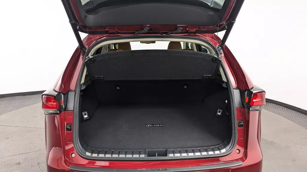 Florida Fine Cars - Used LEXUS NX 2019 MIAMI NX 300