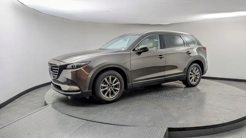 フェイス ポインター ブラウン・グレー Used 2016 MAZDA CX-9 TOURING for sale in WEST PALM | 148011