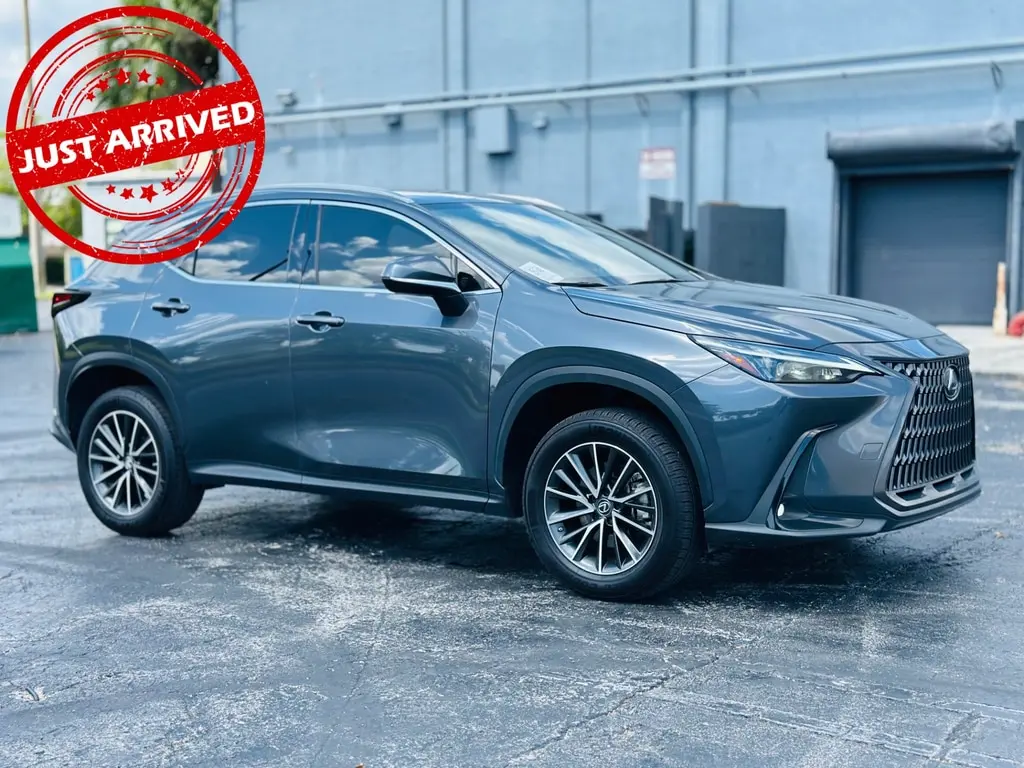 Florida Fine Cars - Used LEXUS NX 2023 WEST PALM NX 250