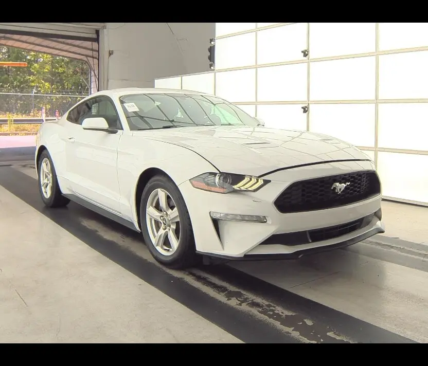 Florida Fine Cars - Used FORD MUSTANG 2019 MARGATE ECOBOOST