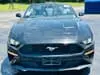 Florida Fine Cars - Used FORD MUSTANG 2022 MARGATE ECOBOOST PREMIUM