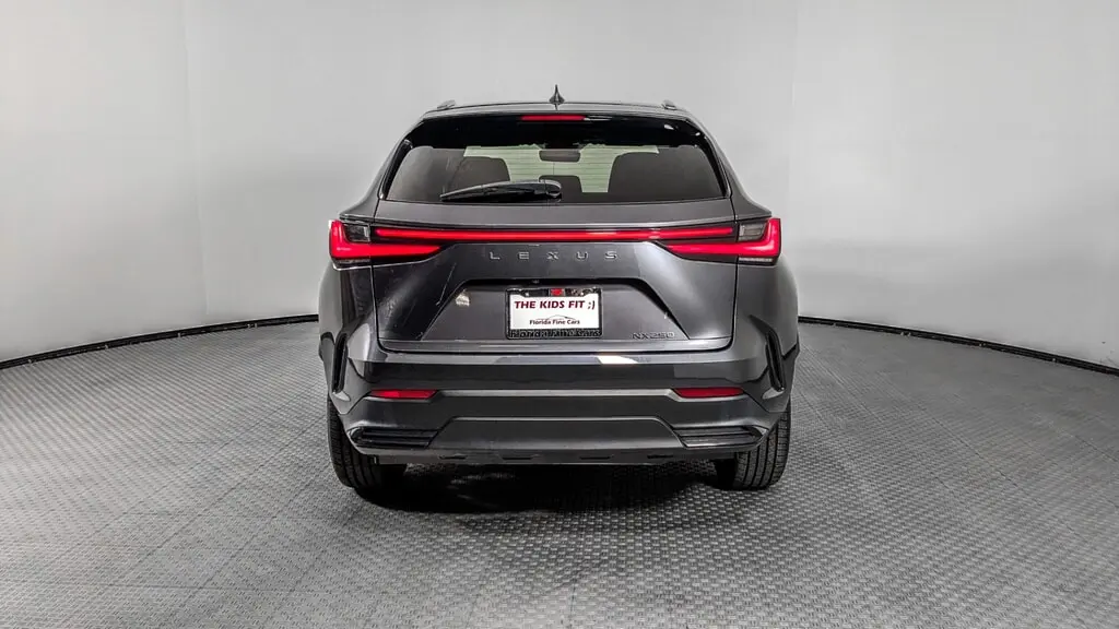 Florida Fine Cars - Used LEXUS NX 2024 ORLANDO NX 250