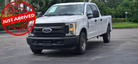 Florida Fine Cars - Used FORD SUPER-DUTY F-250 SRW 2019 WEST PALM XL