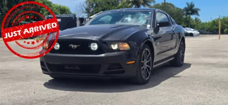 Florida Fine Cars - Used FORD MUSTANG 2014 MIAMI GT