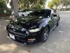 Florida Fine Cars - Used FORD MUSTANG 2017 WEST PALM GT