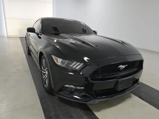 Florida Fine Cars - Used FORD MUSTANG 2017 ORLANDO GT