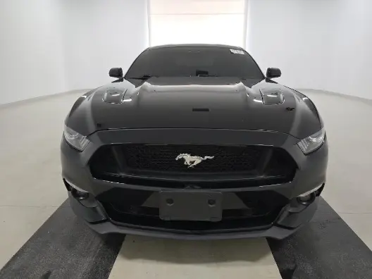 Florida Fine Cars - Used FORD MUSTANG 2017 ORLANDO GT