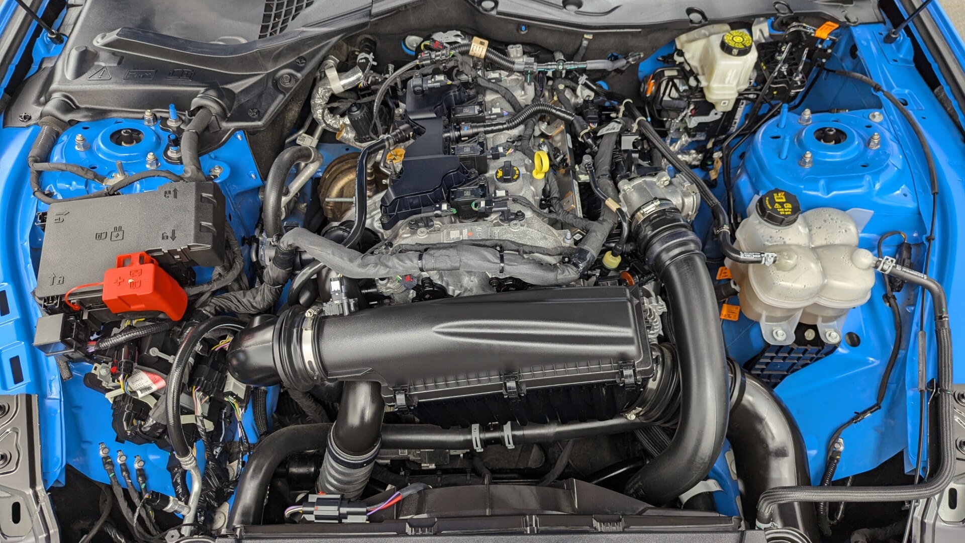 Florida Fine Cars - Used FORD MUSTANG 2024 MIAMI ECOBOOST PREMIUM