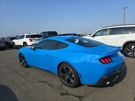 Florida Fine Cars - Used FORD MUSTANG 2024 WEST PALM ECOBOOST PREMIUM