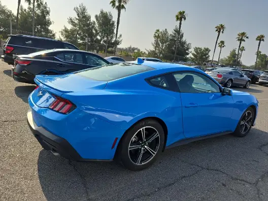 Florida Fine Cars - Used FORD MUSTANG 2024 WEST PALM ECOBOOST PREMIUM