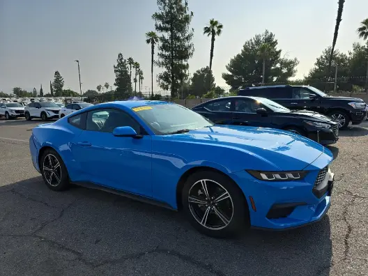 Florida Fine Cars - Used FORD MUSTANG 2024 WEST PALM ECOBOOST PREMIUM