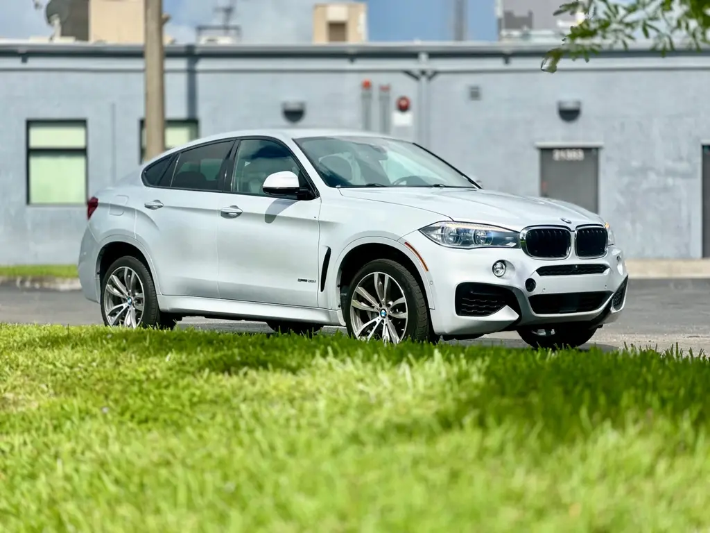 Florida Fine Cars - Used BMW X6 2019 MIAMI SDRIVE35I M SPORT LINE