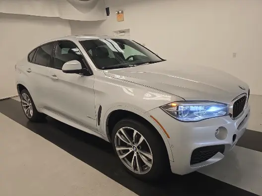 Florida Fine Cars - Used BMW X6 2019 MIAMI SDRIVE35I M SPORT LINE