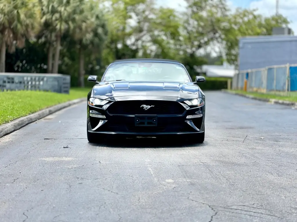 Florida Fine Cars - Used FORD MUSTANG 2023 MIAMI ECOBOOST PREMIUM