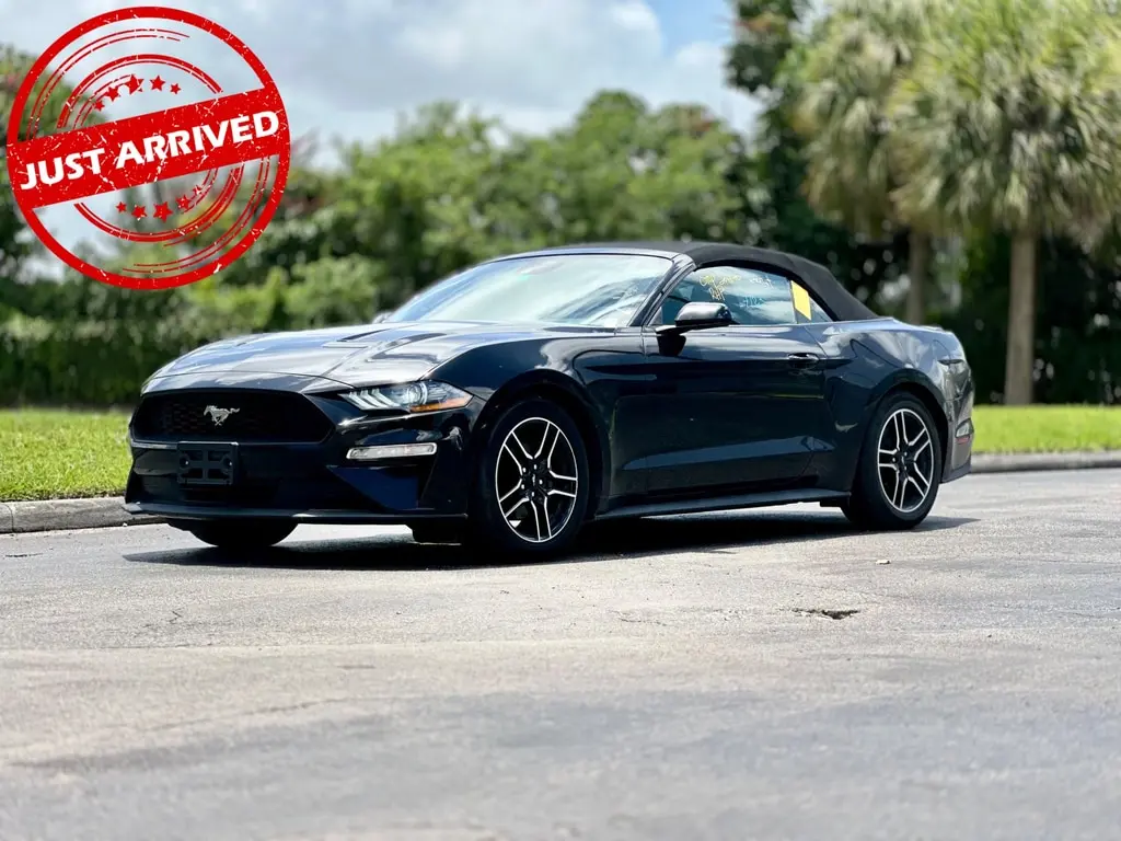 Florida Fine Cars - Used FORD MUSTANG 2023 MIAMI ECOBOOST PREMIUM