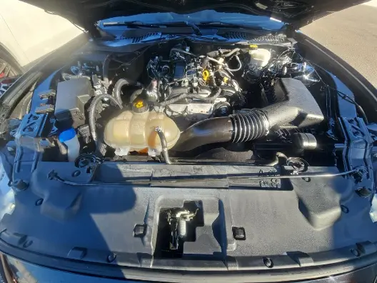 Florida Fine Cars - Used FORD MUSTANG 2021 ORLANDO ECOBOOST