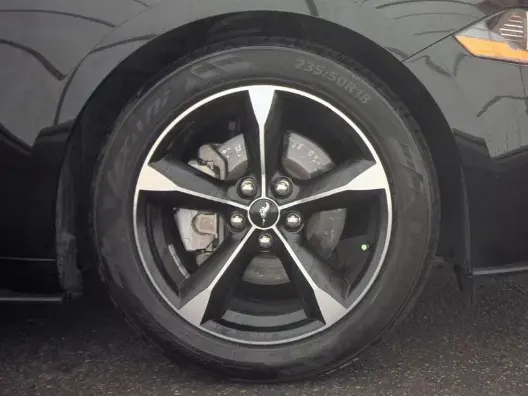 Florida Fine Cars - Used FORD MUSTANG 2021 ORLANDO ECOBOOST