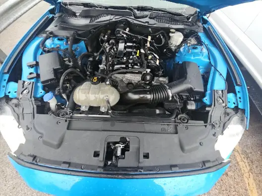 Florida Fine Cars - Used FORD MUSTANG 2022 ORLANDO ECOBOOST PREM