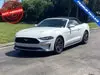 Florida Fine Cars - Used FORD MUSTANG 2023 MARGATE ECOBOOST PREMIUM