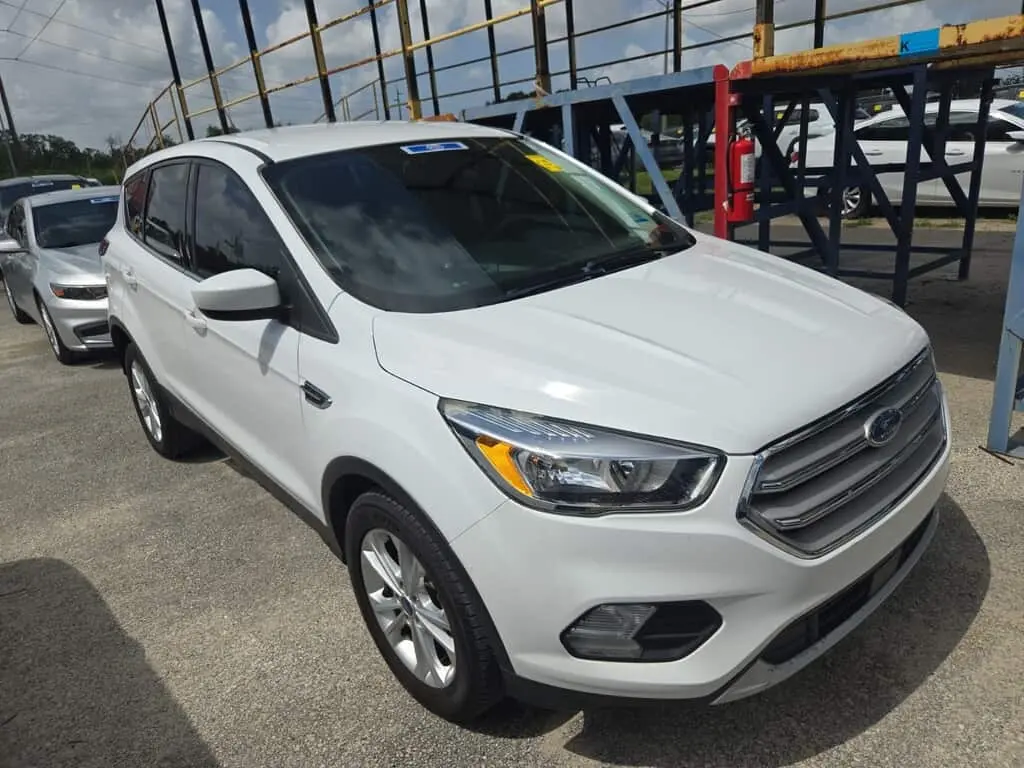 Florida Fine Cars - Used FORD ESCAPE 2019 MARGATE SE