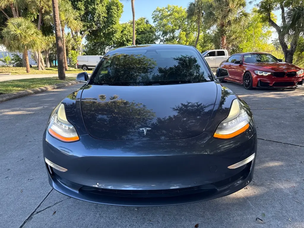 Florida Fine Cars - Used TESLA MODEL 3 2019 WEST PALM MODEL 3