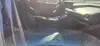 Florida Fine Cars - Used HYUNDAI SANTA FE 2022 MIAMI SEL