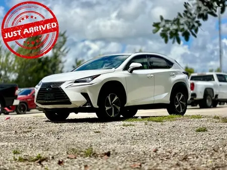 Florida Fine Cars - Used LEXUS NX 2021 MARGATE NX 300