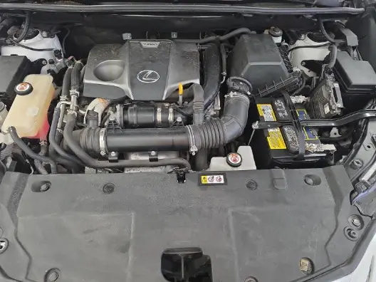 Florida Fine Cars - Used LEXUS NX 2021 MARGATE NX 300