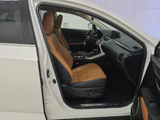 Florida Fine Cars - Used LEXUS NX 2021 MARGATE NX 300