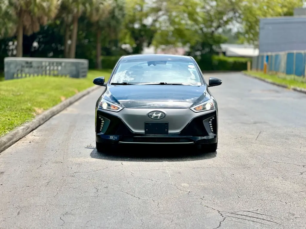 Florida Fine Cars - Used HYUNDAI IONIQ ELECTRIC 2019 MARGATE LIMITED