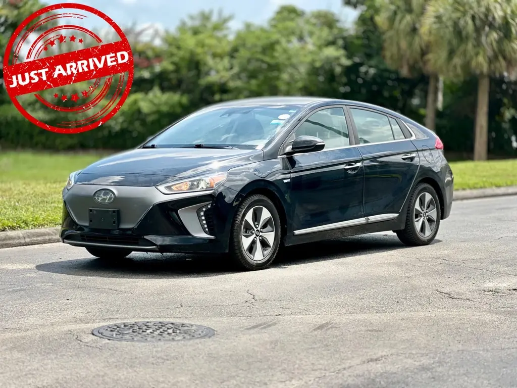 Florida Fine Cars - Used HYUNDAI IONIQ ELECTRIC 2019 MARGATE LIMITED
