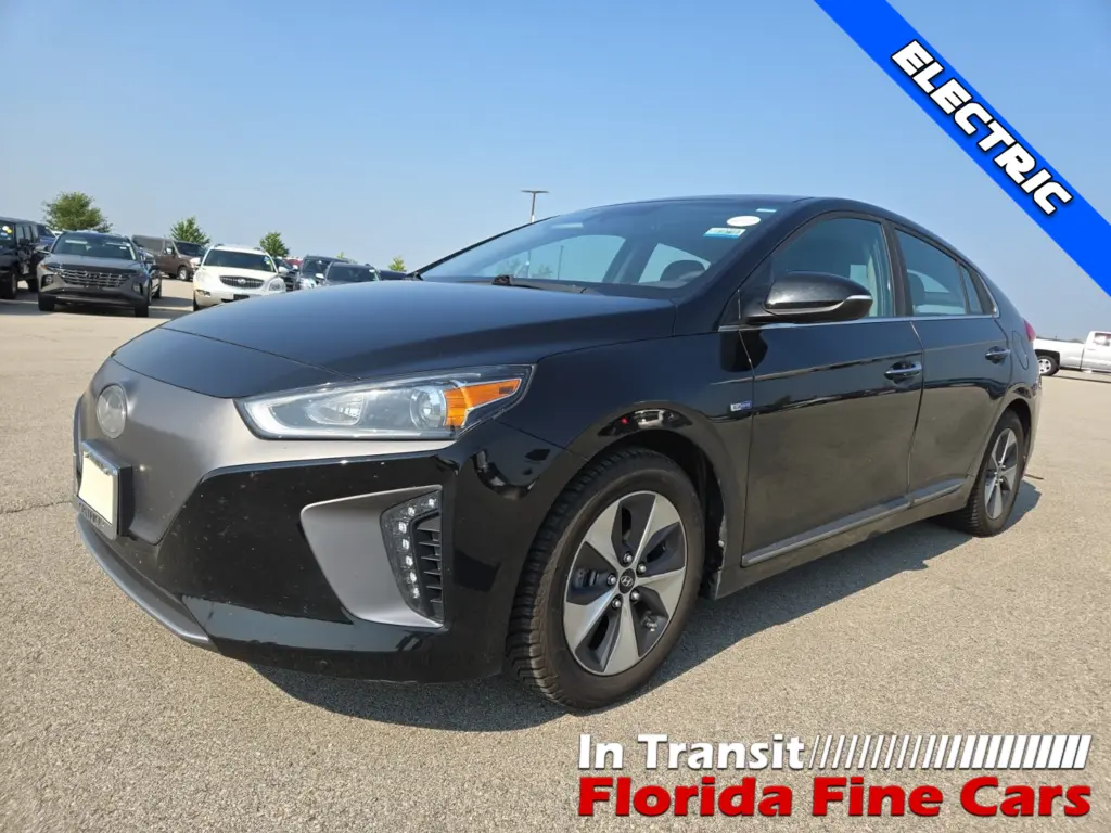 Florida Fine Cars - Used HYUNDAI IONIQ ELECTRIC 2019 MARGATE LIMITED