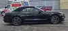 Florida Fine Cars - Used FORD MUSTANG 2023 MIAMI ECOBOOST PREMIUM