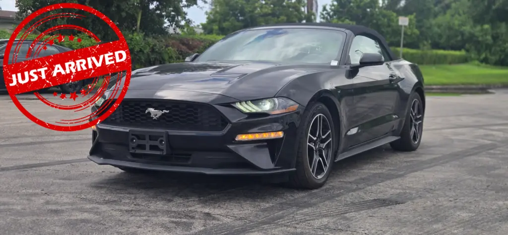 Florida Fine Cars - Used FORD MUSTANG 2023 MIAMI ECOBOOST PREMIUM