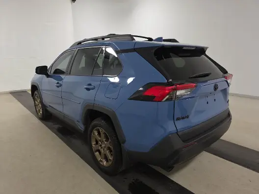 Florida Fine Cars - Used TOYOTA RAV4 2023 MIAMI HYBRID WOODLAND EDITION