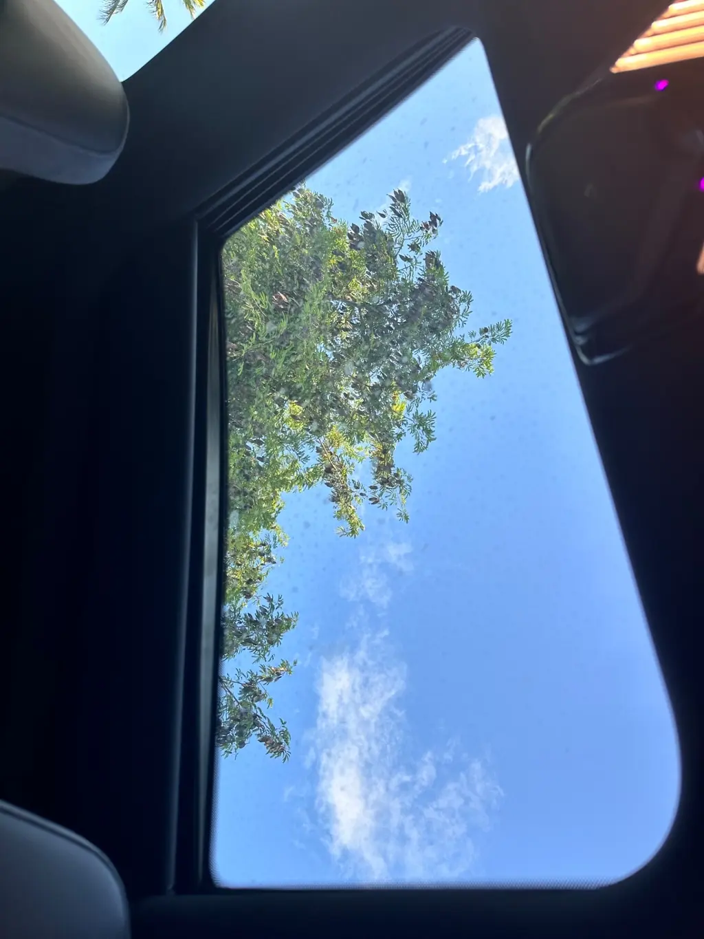 Florida Fine Cars - Used BMW M4 2021 WEST PALM COMPETITION
