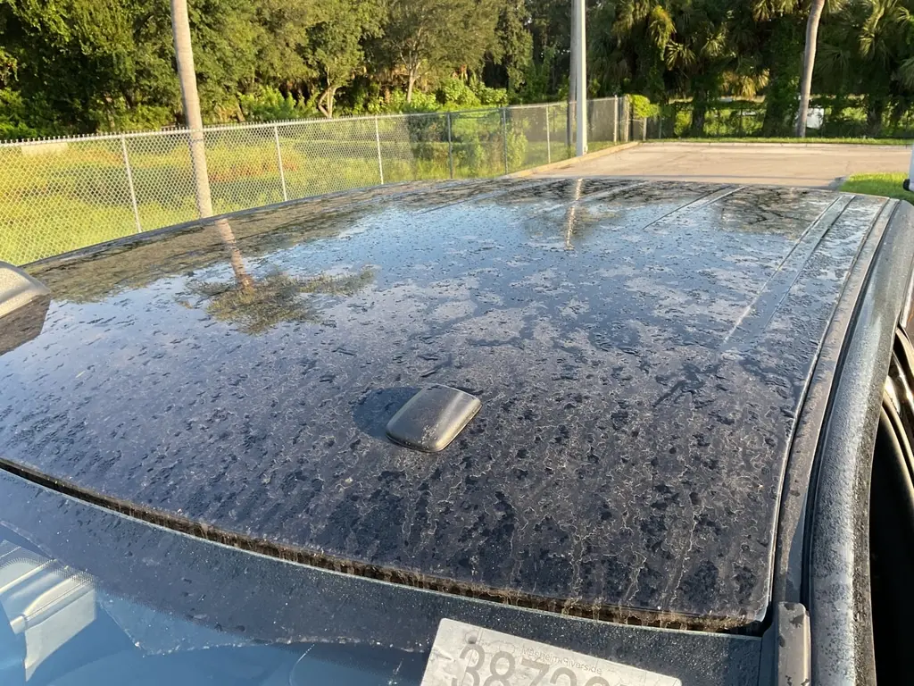 Florida Fine Cars - Used RAM 2500 2024 ORLANDO BIG HORN