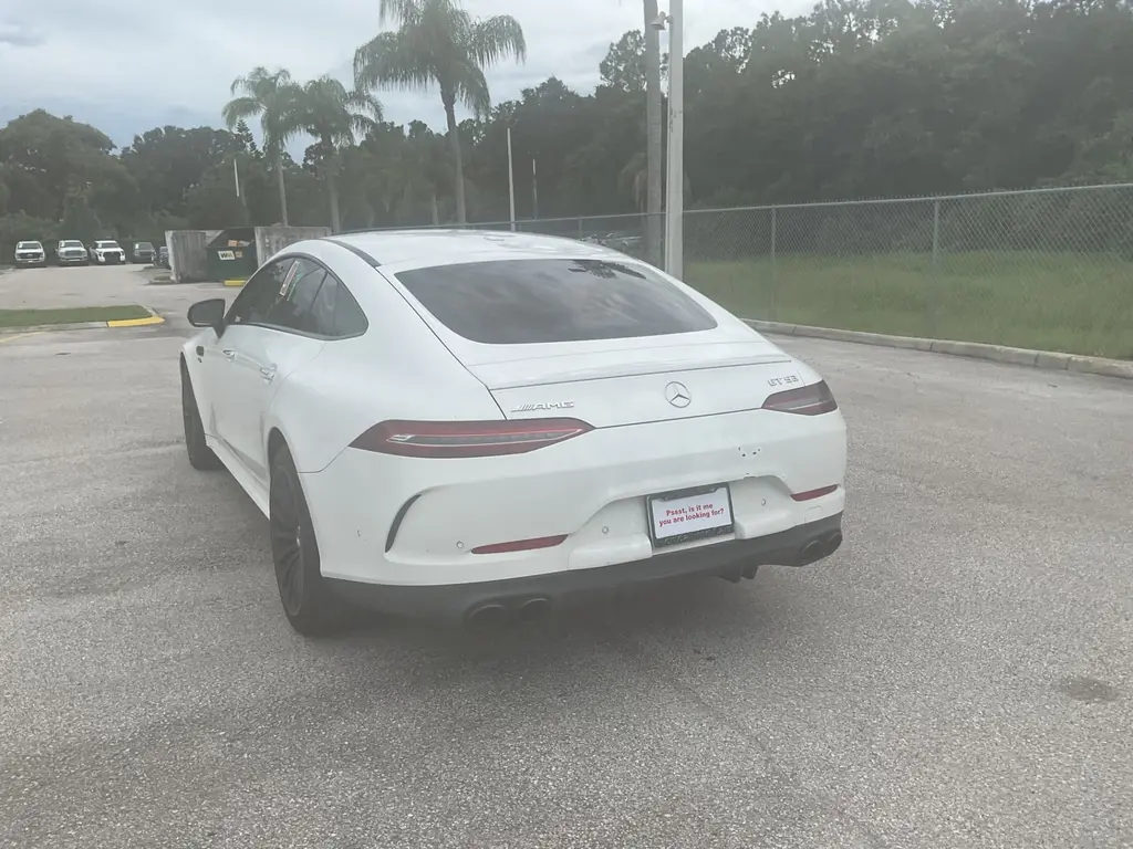 Florida Fine Cars - Used MERCEDES-BENZ AMG GT 2019 ORLANDO AMG GT 53