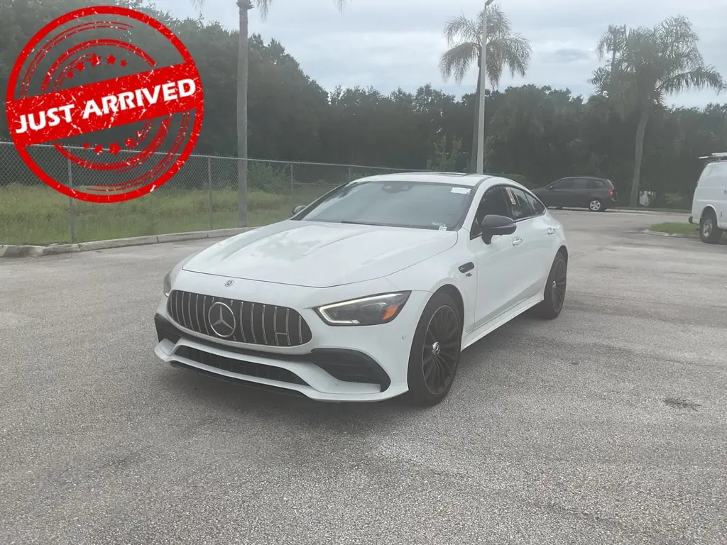 Florida Fine Cars - Used MERCEDES-BENZ AMG GT 2019 ORLANDO AMG GT 53