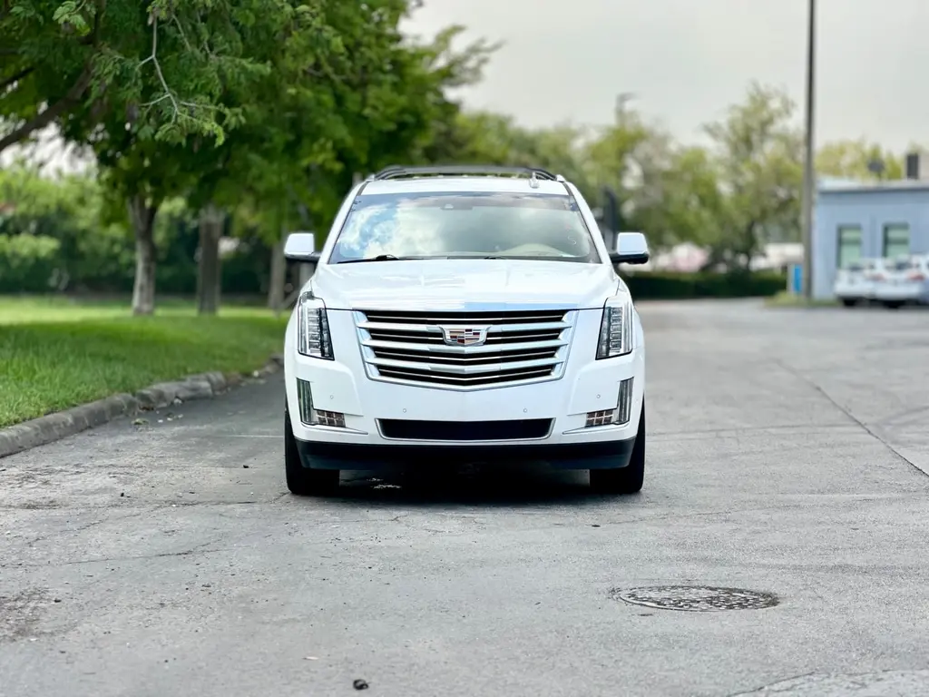 Florida Fine Cars - Used CADILLAC ESCALADE 2017 MIAMI PLATINUM