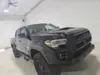 Florida Fine Cars - Used TOYOTA TACOMA 4WD 2023 MIAMI TRD PRO