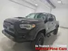 Florida Fine Cars - Used TOYOTA TACOMA 4WD 2023 MIAMI TRD PRO