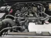 Florida Fine Cars - Used TOYOTA TACOMA 2WD 2024 WEST PALM SR