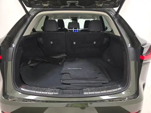 Florida Fine Cars - Used LEXUS NX 2024 MIAMI NX 250