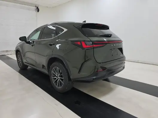 Florida Fine Cars - Used LEXUS NX 2024 MIAMI NX 250
