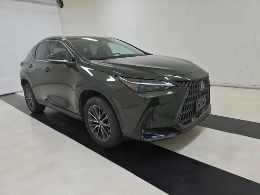 Florida Fine Cars - Used LEXUS NX 2024 MIAMI NX 250