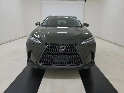 Florida Fine Cars - Used LEXUS NX 2024 MIAMI NX 250