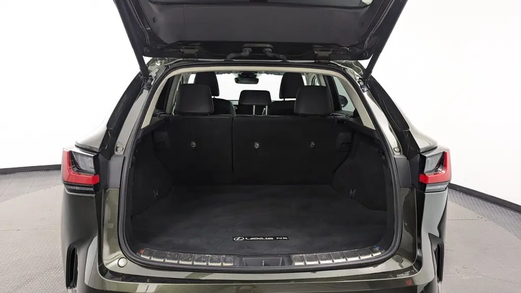 Florida Fine Cars - Used LEXUS NX 2024 MIAMI NX 250